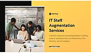 IT Staff Augmentation Services | IT Staff Augmentation Company