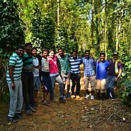 Trees for Colleagues – Grow Billion Trees