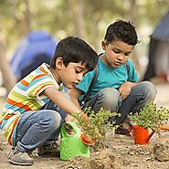 Trees for Environment Day (5th Jun) – Grow Billion Trees