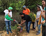 Isha Blokhra - 7 year old girl planted 750 trees and is an inspiration – Grow Billion Trees