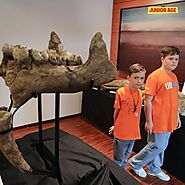 Brothers Discover Bones of Prehistoric Elephant