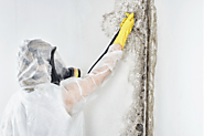 Mold Removal by ClearFlow Water Services in Garland TX