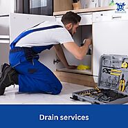 Drain services