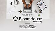 Marketing Agency in California - BloomHouse Marketing