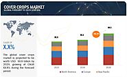 Cover Crops Market Size, Share, Growth Drivers, and Forecast | MarketsandMarkets