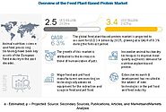 The Growing Demand for Feed Plant-Based Protein in Animal Feed