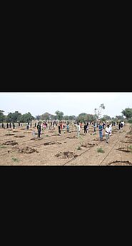 Website at https://growbilliontrees.com/pages/tree-plantation-in-gujarat-state