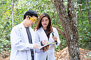 Prescribing Green: The Vital Role of Tree Plantation on Doctor's Day – Grow Billion Trees