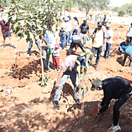 Trees for Employee Engagement – Grow Billion Trees