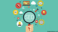 Why SEO is Important for E-commerce Websites? - magentostore.over-blog.com