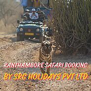 Ranthambore Safari Booking - Book Wildlife Adventure Today.