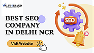 BEST SEO COMPANY IN DELHI NCR