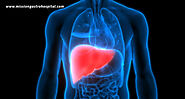 Key Liver Functions And Ways To Support Them