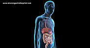 The Impact Of Aging On Digestive Health