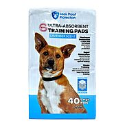 Buy Blue color Absorbent Pee pads for dogs with Training pads