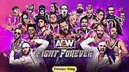 AEW Fight Forever Torrent PC Download Elamigos | Elamigos Game