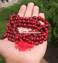 100% Pure Original Natural Red Sandalwood in Vrindavan