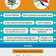 What are Antimicrobial Peptides?