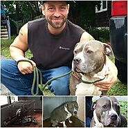 ABANDONED PIT BULLS FIND HOPE AND NEW HOMES - VIENTHUCUNG