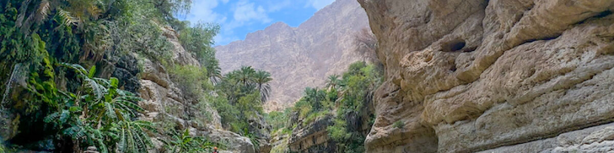 6 Wadis you can enjoy in Oman: Explore Hidden Gems!