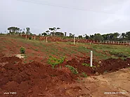 Managed Farmland in Bangalore - The Misty Valley