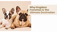 French Bulldog Puppies Ohio