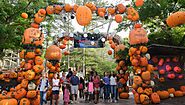 Stone Mountain Park’s Pumpkin Festival 2024 | Stone Mountain Park, Atlanta, GA | September 14 to November 3