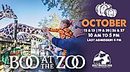 Zoo Boo 2024 | Miami | Zoo Miami | October 12 to October 27