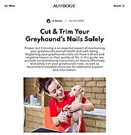 Cut & Trim Your Greyhound's Nails Safely