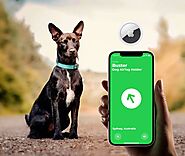 Pet Collar Airtag Holder: Track Your Dog Anywhere in Australia