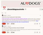 For The Love of Dogs Australia Joins Reddit: Let's Get Pawsitive!