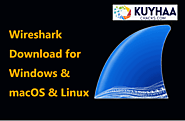 Download Wireshark Kuyhaa Full Version Terbaru [2024]