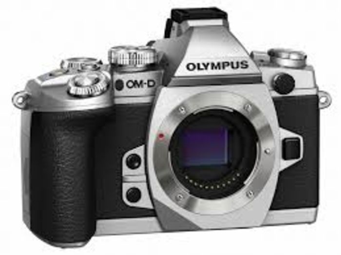 best mirrorless cameras with viewfinder
