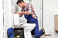 Best service for Toilet repair in Wilkinson Terrace