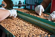 Almond Processing Plant Project Report 2025, Machinery, Cost Analysis and Raw Material Requirements