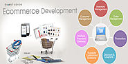 Affordable Top eCommerce Development Solutions for Small Businesses in USA