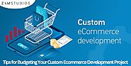 Tips for Budgeting Your Custom Ecommerce Development Project