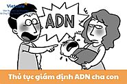 Thủ tục giám định ADN cha con cần những gì?