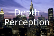 EDU290 Depth Perception Presentation