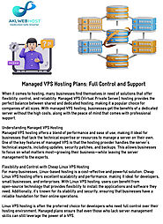 Managed VPS Hosting Plans Infographic Template