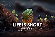 50 Life is Short Quotes to Inspire You - Life is Positive