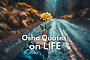 11 Osho Quotes on Life That Will Transform Your Daily Living - Life is Positive