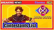 Bigg Boss Season 8 Telugu Contestants List with Photos, Star Maa BB Telugu 2024 Full Names, Photos & Updates