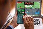 Top Sports to Bet On with the Gullybet Sports App – Webs Article