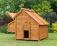 The Berkshire | Deluxe Chicken Coop