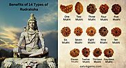 Benefits Of 14 Types Of Rudraksha 1-14 Mukhi Rudraksha Power