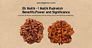 Ek Mukhi, 1 Mukhi Rudraksh Benefits, Marvelous Power and Significance