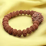 7 Mukhi Rudraksha Bracelet » SATVIK GEMS