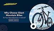 Why Choose Giant Mountain Bikes for Your Next Adventure in Ireland? | by Adrenalin Sports and Cycles | Nov, 2024 | Me...