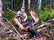 Moose Hunting Tips - Expert Moose Hunting